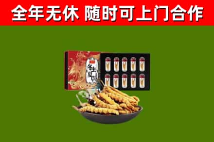 恩平回收冬虫夏草价格